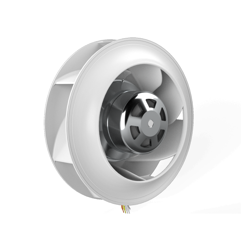 RREV8 250X50R P38-D0-1